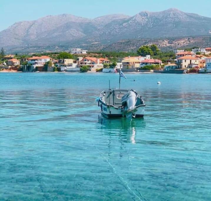 80 τ.μ. δίπλα από την θάλασσα στην ελιά.